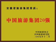 2009年度中国尊龙凯时集团20强