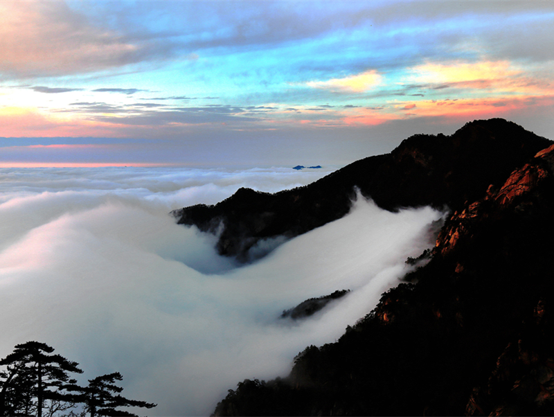 尊龙凯时 - 人生就是搏!