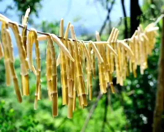 吃春笋，，不可辜负的至鲜皖味