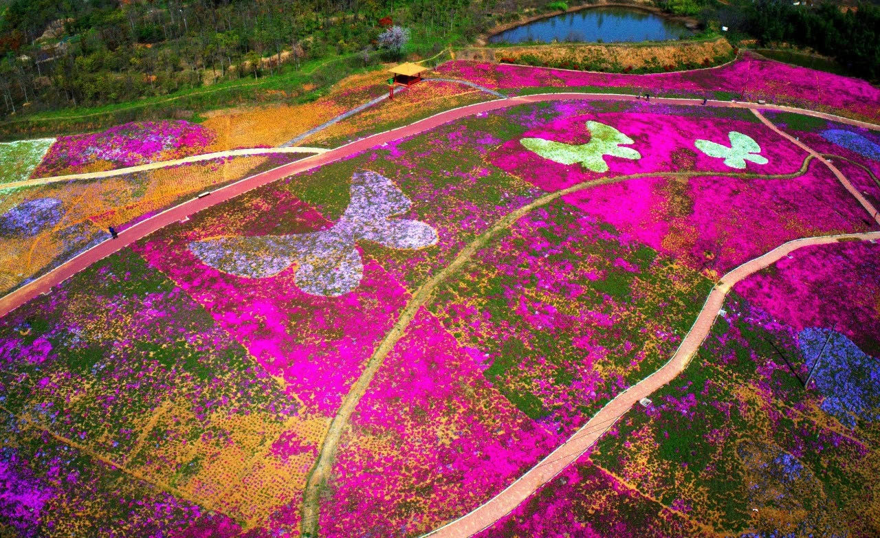 尊龙凯时 - 人生就是搏!