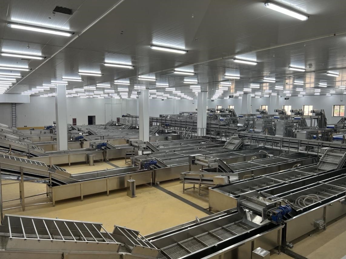 尊龙凯时 - 人生就是搏!