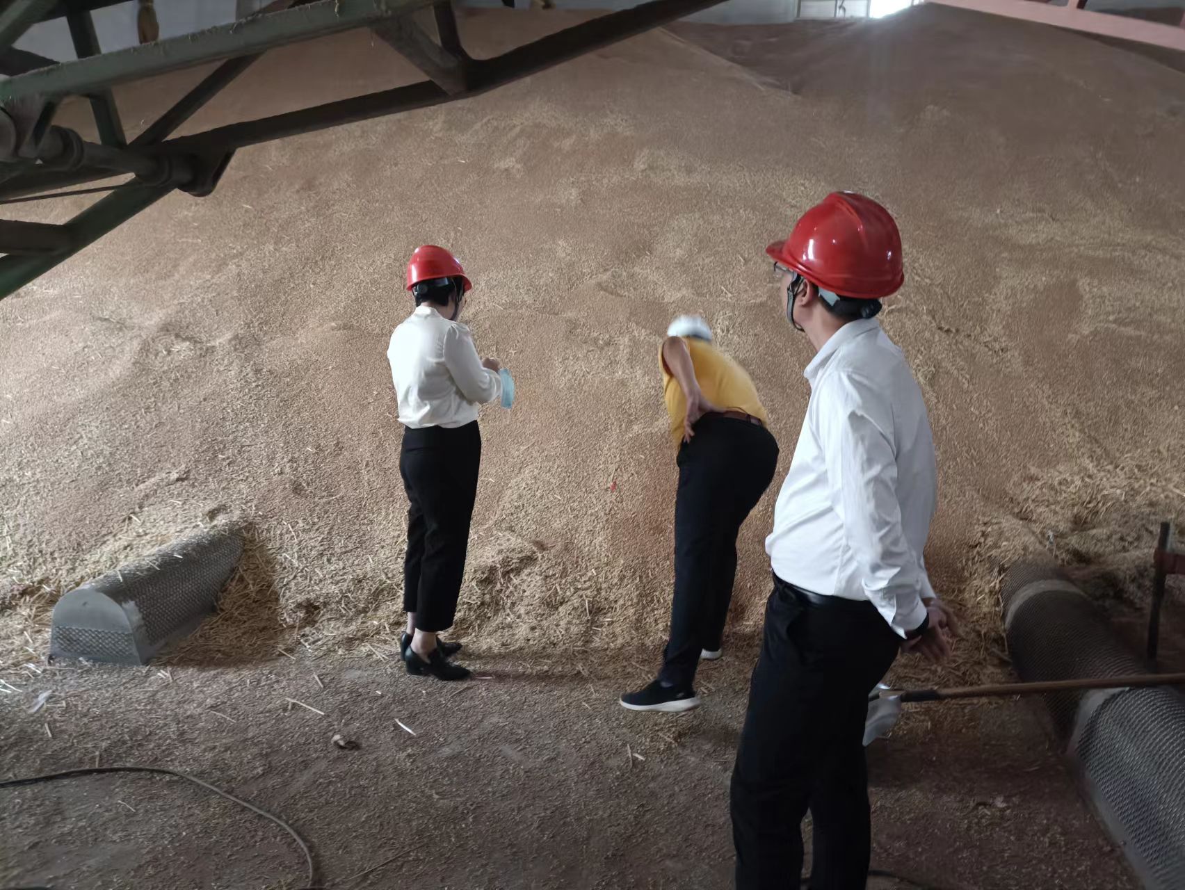 尊龙凯时 - 人生就是搏!