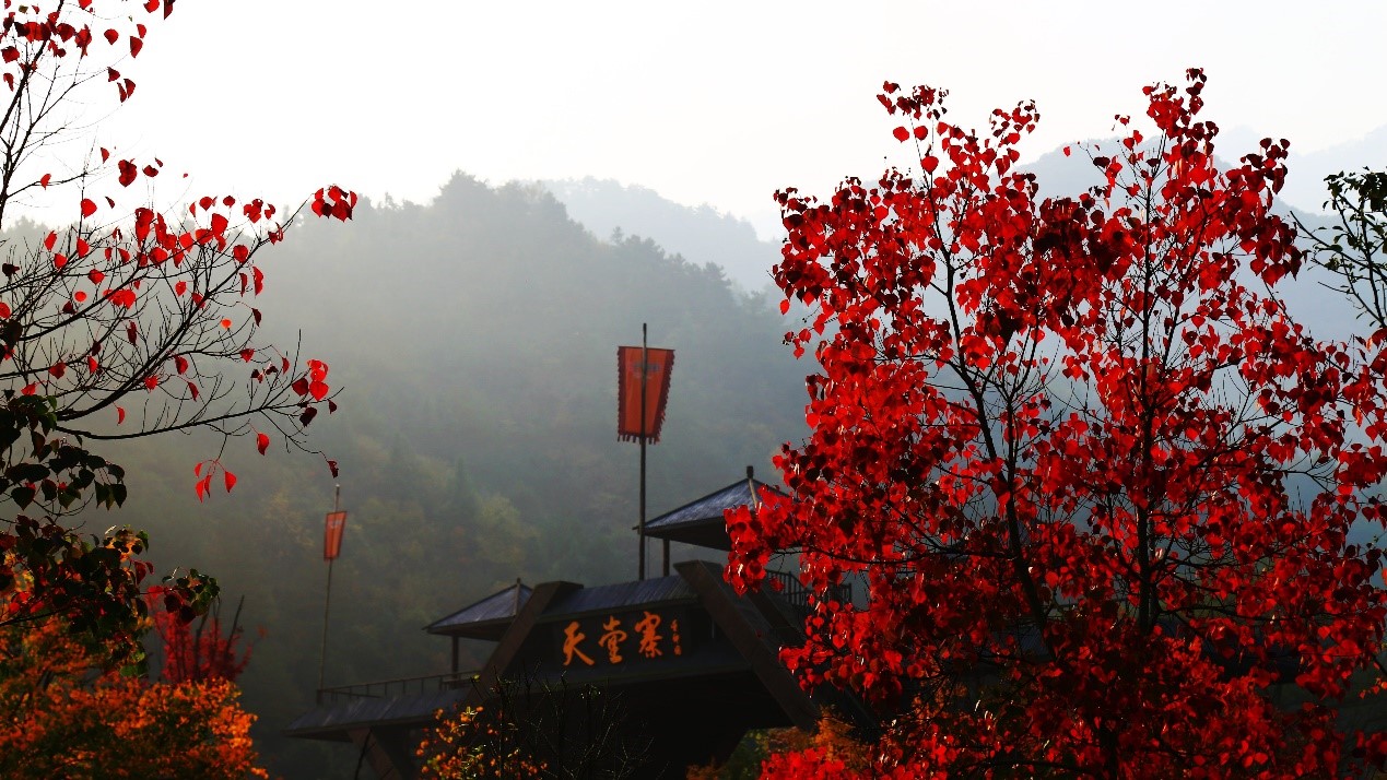 尊龙凯时 - 人生就是搏!