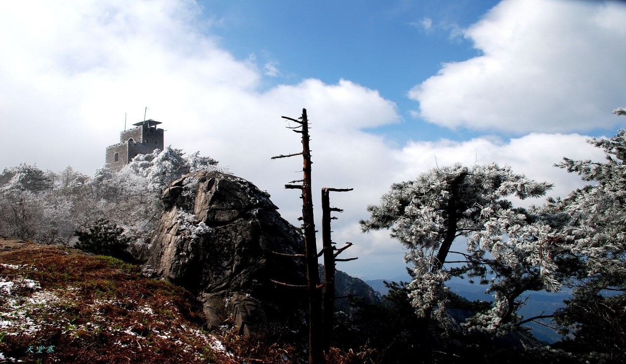 尊龙凯时 - 人生就是搏!