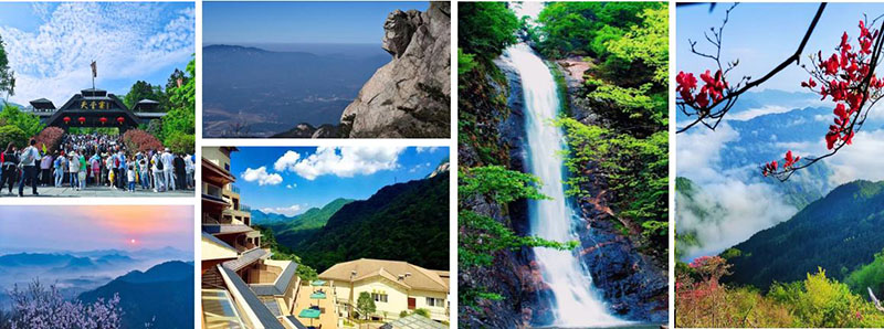 尊龙凯时 - 人生就是搏!