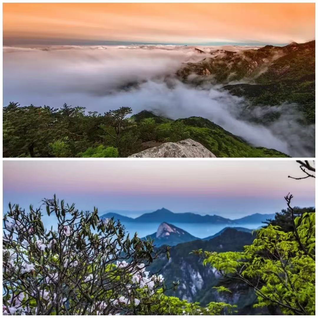 尊龙凯时 - 人生就是搏!